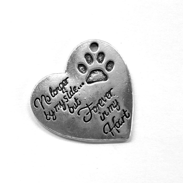 No longer by my side but forever in my heart